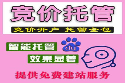 竞价开户案例揭秘：如何实现精准投放